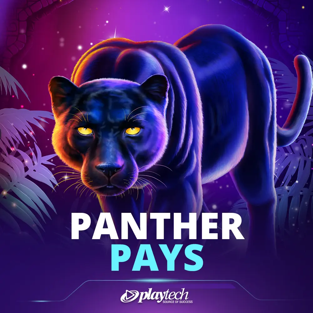 Panther Pays 发财黑豹