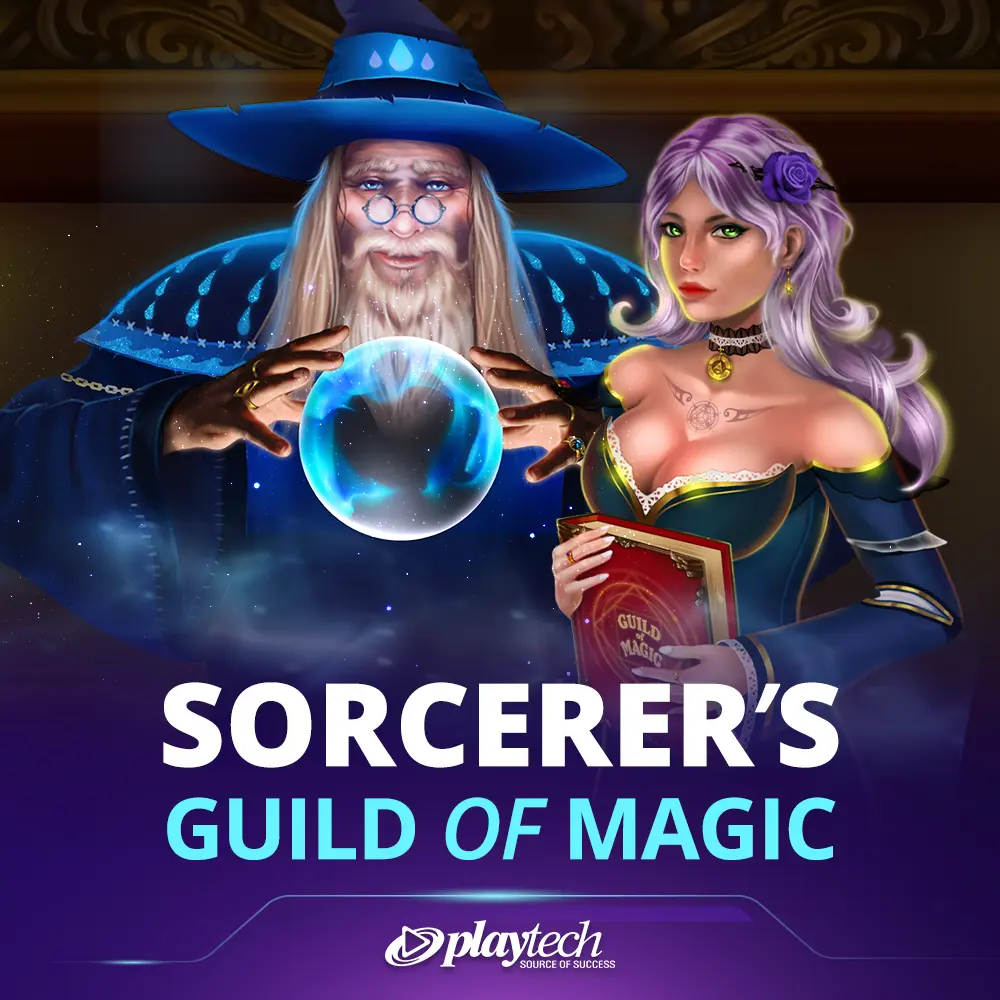Sorcerer's Guild of Magic 魔法师的魔法公会