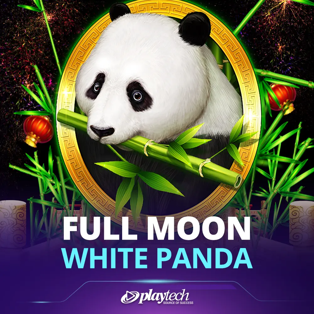 Full Moon: White Panda 满月: 白色熊猫